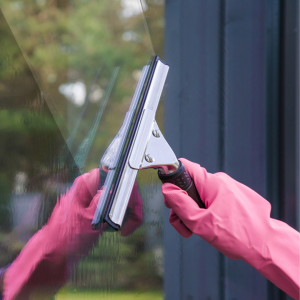 Window Cleaning